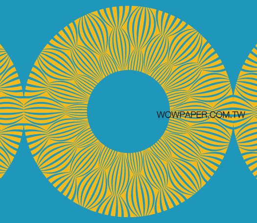 13WWCM-SS-0086-3U
