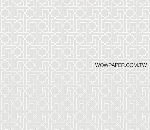20WJNS-NIG602