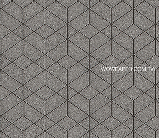 21WYXT-SGA2508