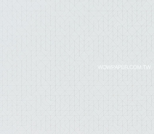 21WYP1-WVP4046