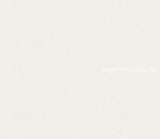 22WCWS-26210113