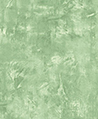 藝術漆土牆 壁紙(深綠)