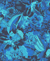 加勒比海花園 壁紙(藍)