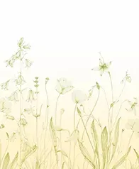 田園野花 壁紙(黃綠)