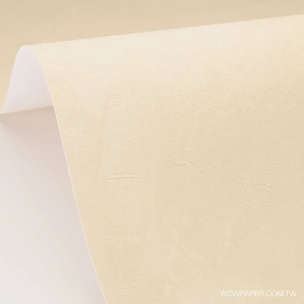 藝術泥灰牆 壁紙(杏)