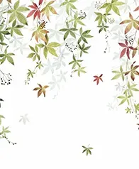 葡萄花藤 壁紙(綠棕)