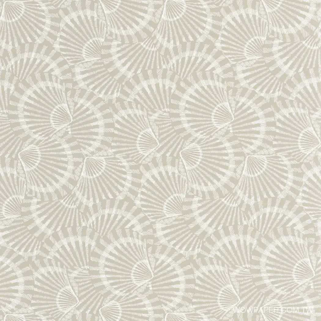 浪漫貝殻 壁紙(卡布)