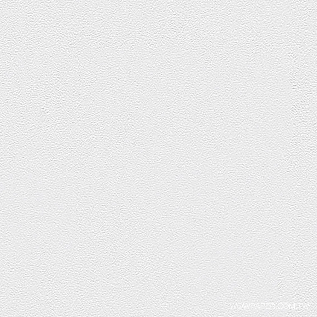 投影用機能 壁紙-灰