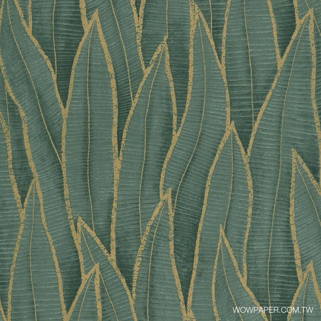 虎尾蘭 壁紙(綠)