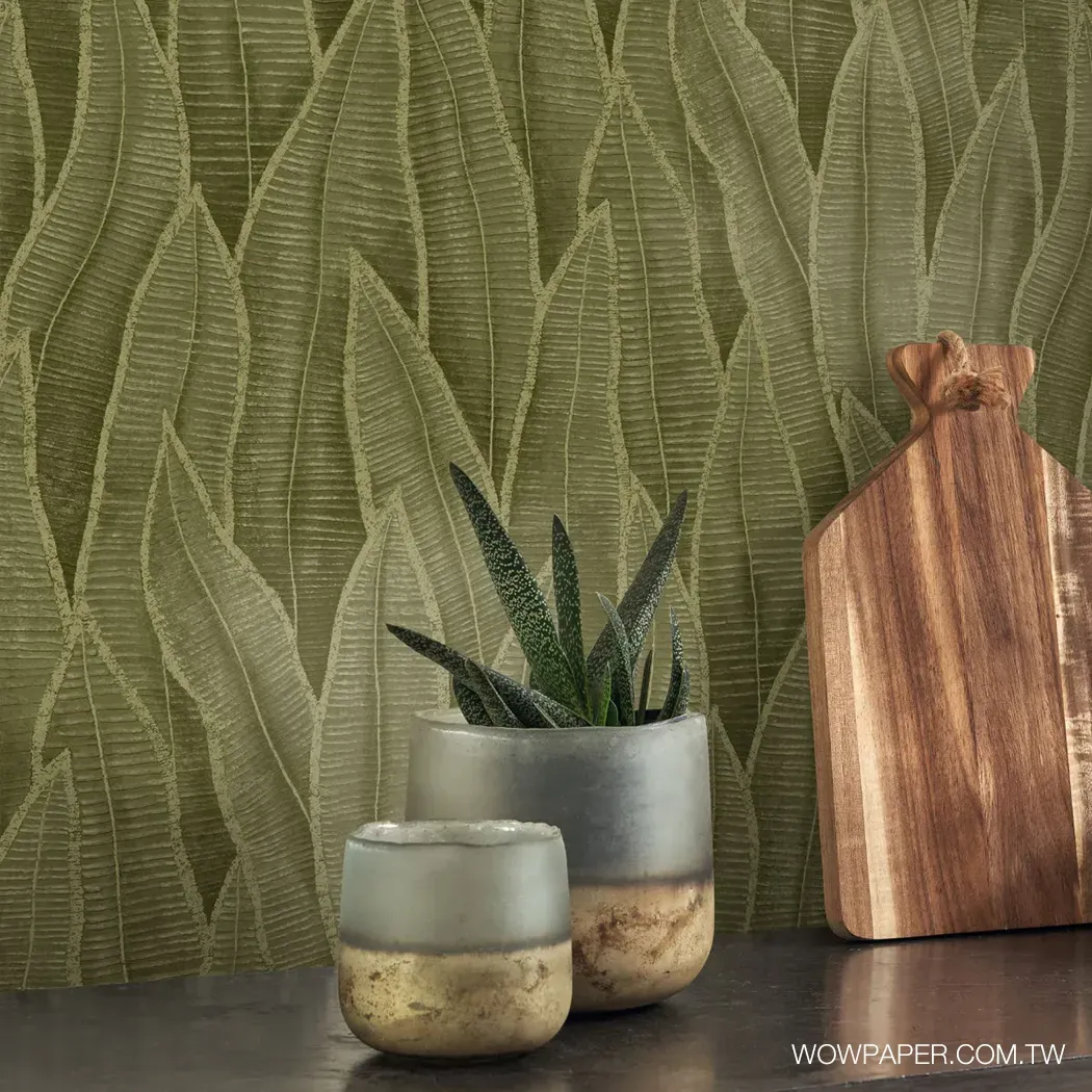 虎尾蘭 壁紙(抹茶)