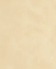 藝術泥灰牆 壁紙(米駝)