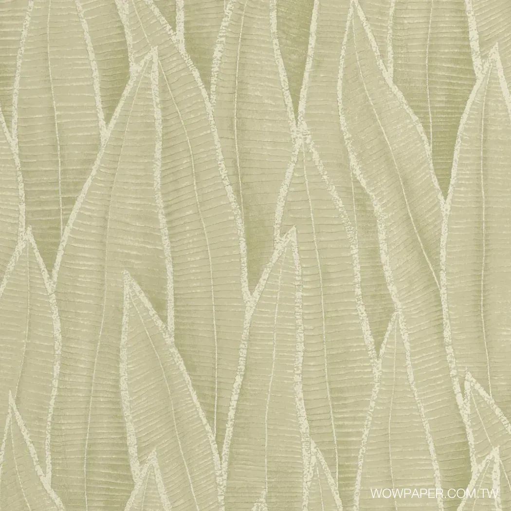 虎尾蘭 壁紙(枯綠)