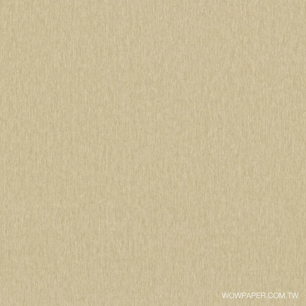 斜紋織物 壁布(駝)