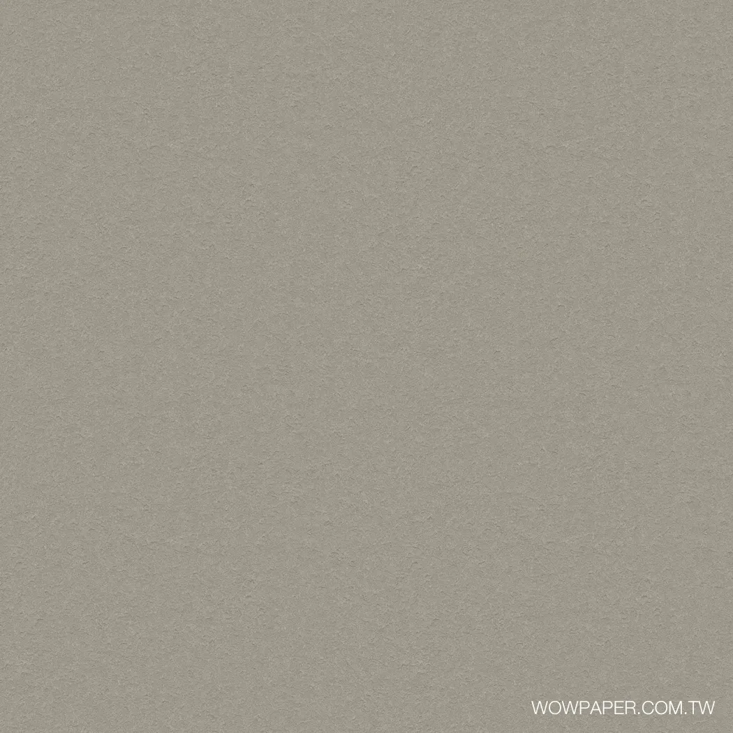 石紋漆面牆 壁紙(岩灰)