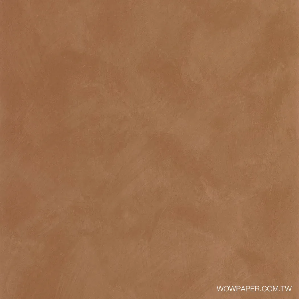 藝術泥灰牆 壁紙(泰奶)