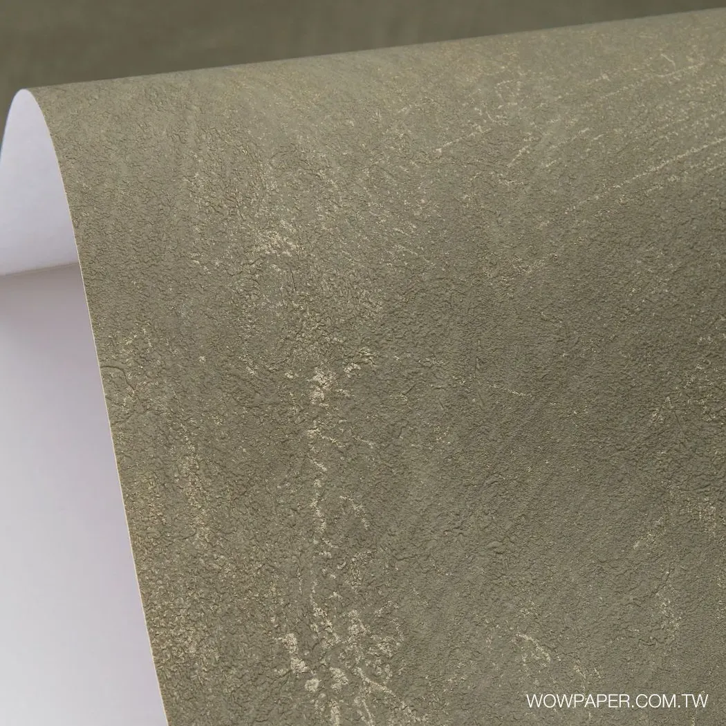 層次藝術泥灰牆 壁紙(綠)