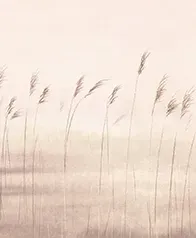 黎明的沙洲 壁紙(裸棕)