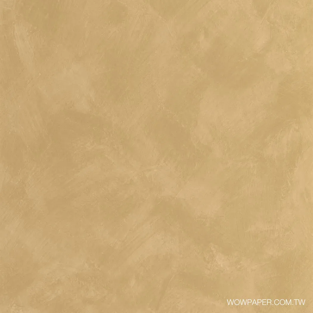 藝術泥灰牆 壁紙(土)