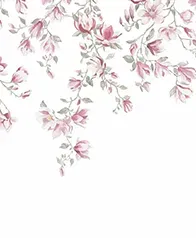 玉蘭花雨 壁紙(桃)