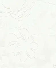 單色盛開花朵 壁紙(米)