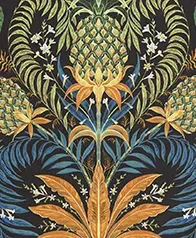 森巴菠蘿 壁紙(橘)