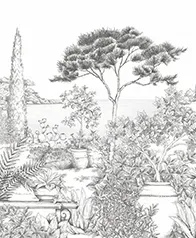 蔚藍海岸公園 壁紙(灰)