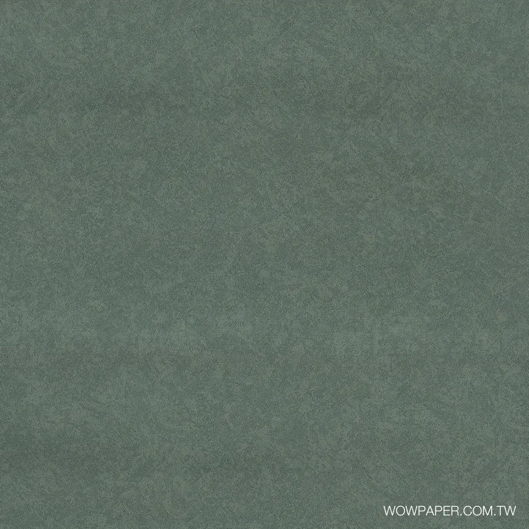 肌理工法漆牆 壁紙(綠)