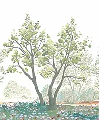 花園樹景 壁紙(綠)