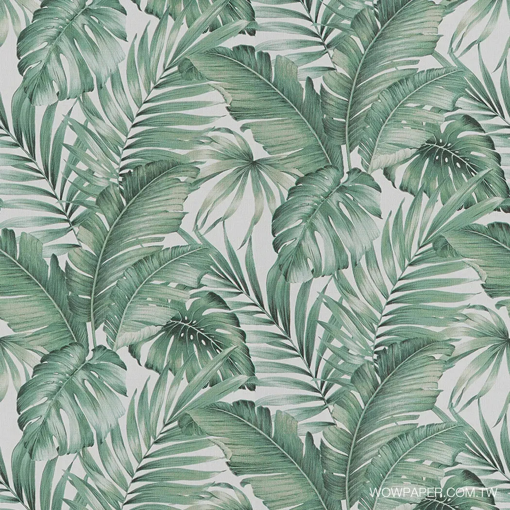 南洋植草 壁紙 (綠)