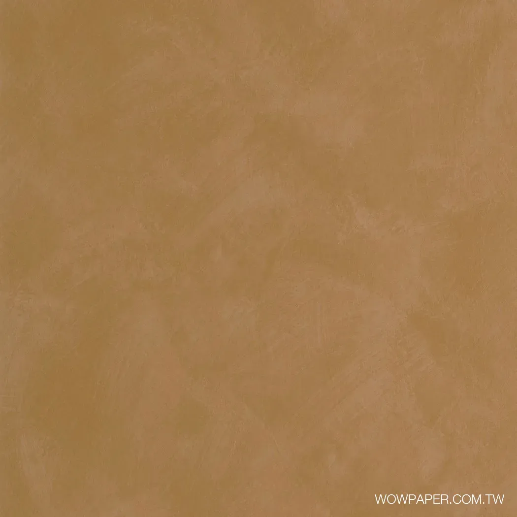 藝術泥灰牆 壁紙(駝)