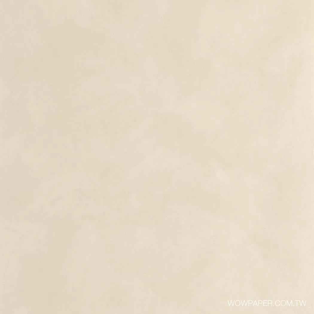 藝術泥灰牆 壁紙(裸米)