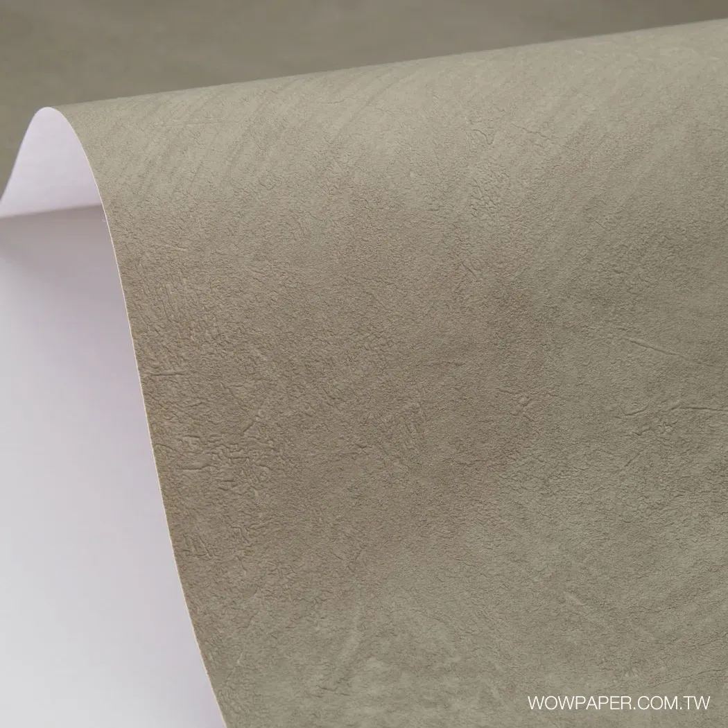 藝術泥灰牆 壁紙(苔灰)
