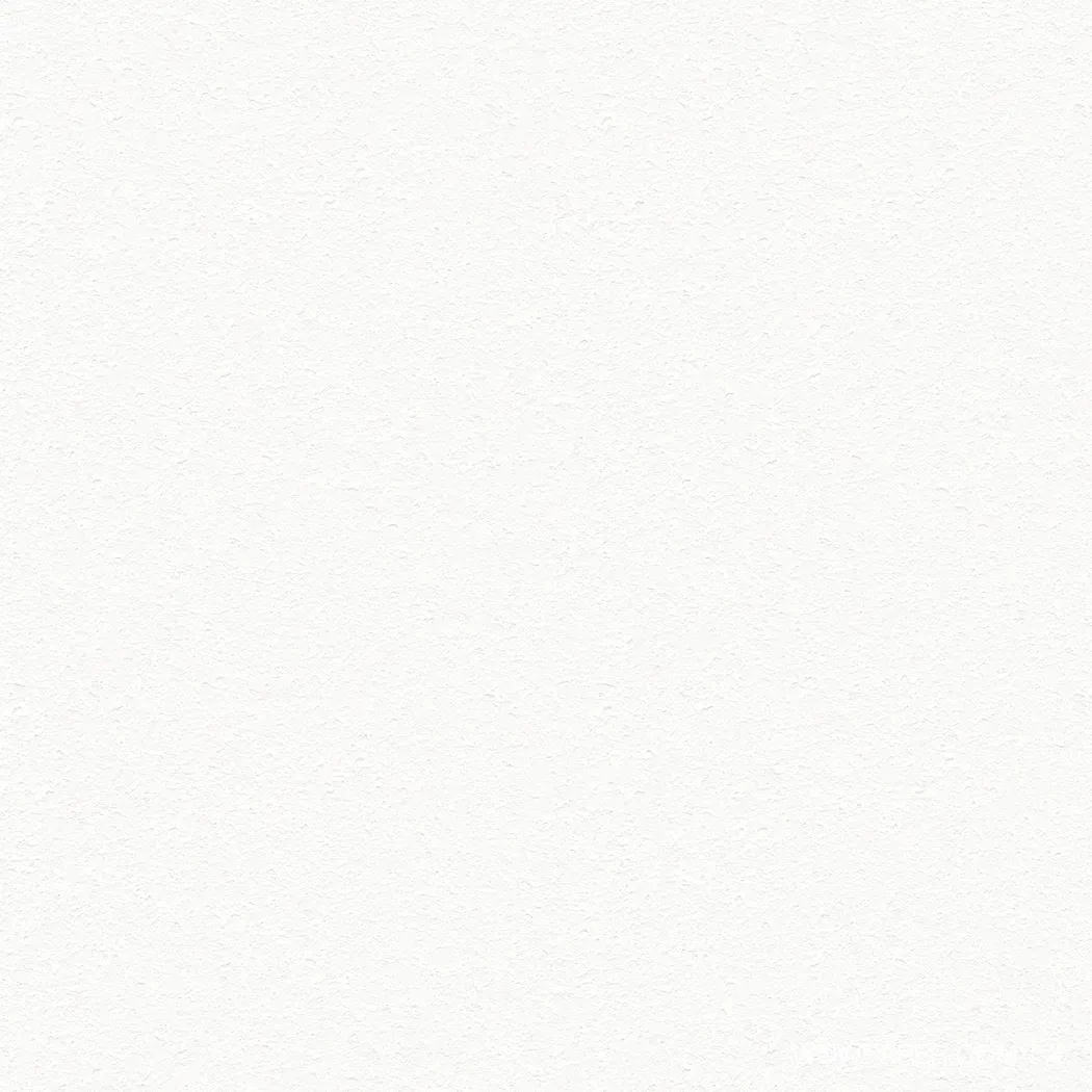 石紋漆面牆 壁紙( 白)