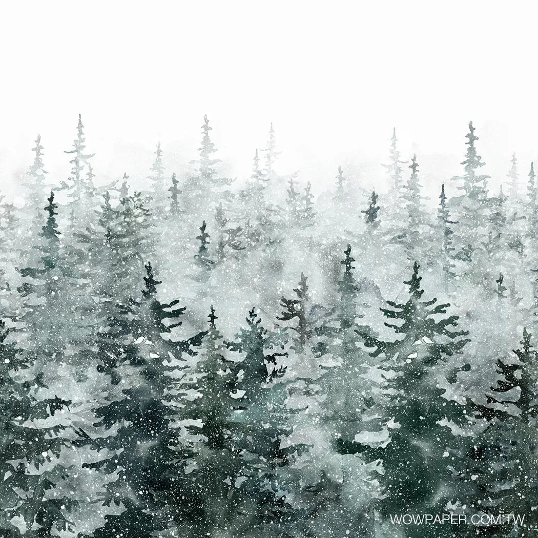 落雪松林 壁紙