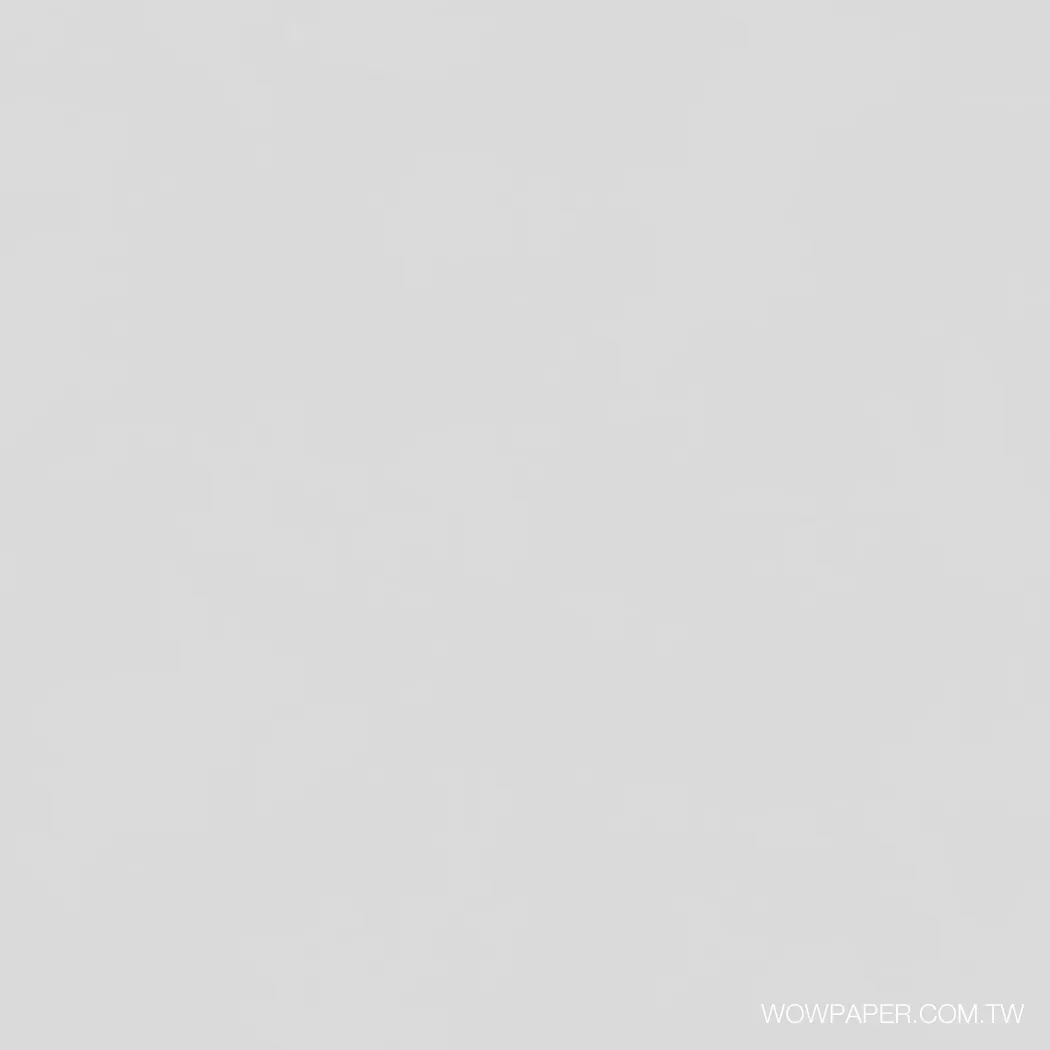 單色光痕漆牆 壁紙(冷灰)
