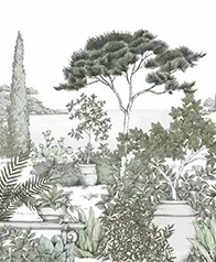 蔚藍海岸公園 壁紙(綠)