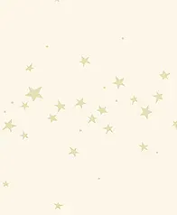 飛舞的小星星 壁紙(米)
