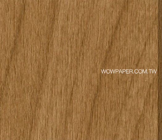 16WYBE-BA-6004
