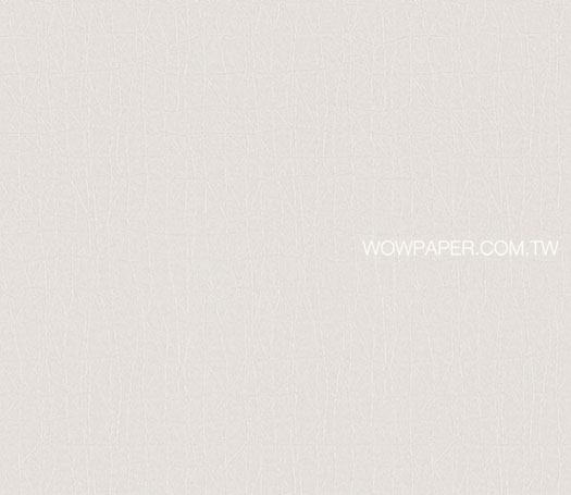21WYP1-WVP4024