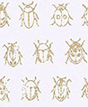 金燦甲蟲 壁紙(白)