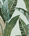 熱帶植草 壁紙(藍色)