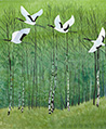 候鳥穿林壁紙-綠林