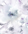 花色 壁畫(紫灰)