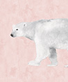 北極熊 壁紙(粉色)