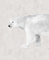 北極熊 壁紙(灰色)