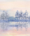 湖㫠霧林 壁紙