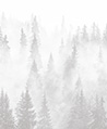 杉林雲霧 壁畫(薄灰)