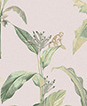 摩登雨林生態 壁紙(粉色)