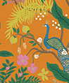 孔雀花園 壁畫(橘)