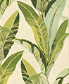 巨幅熱帶植草 壁紙 (綠)(固定尺寸)